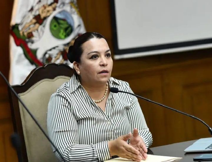 Brenda Lizbeth Sánchez Castro: Espejismos digitales en la SEDUSO
