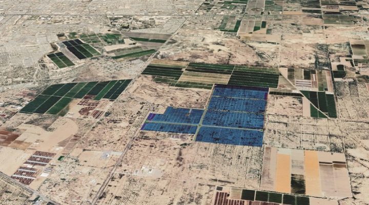Se activa Bühler en La Laguna: arranca su primera planta en México
